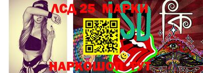 СК Бийск
